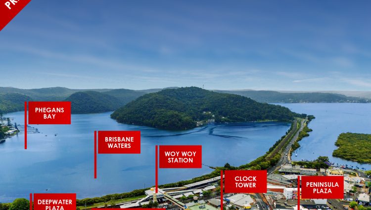 woy_woy-42-48-railway_st-aerial_image-5-1400x1200