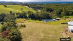 tallwoods_village-3_eucalyptus_drv-district_views-630x394